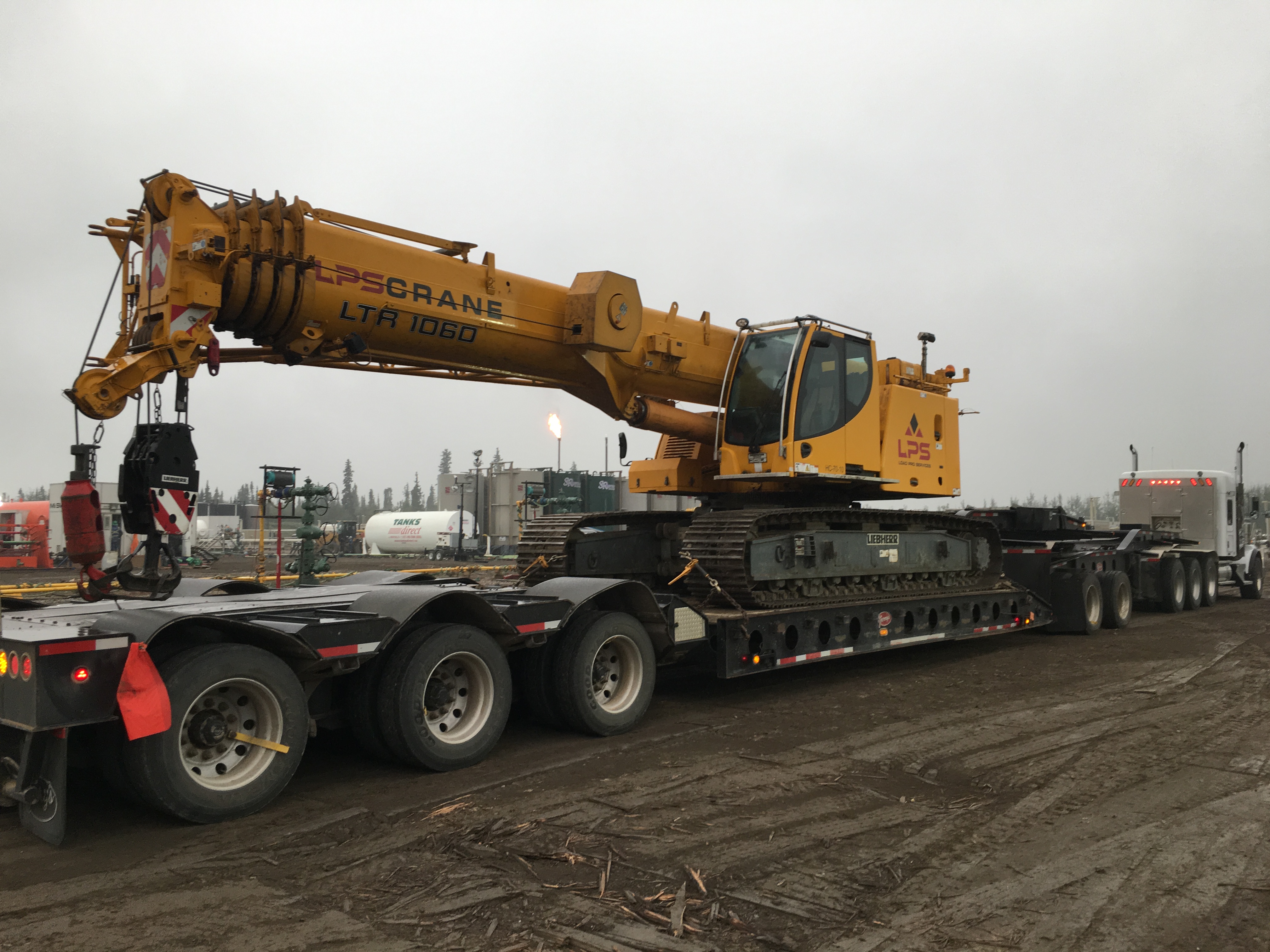 Telescopic Boom Crane 10