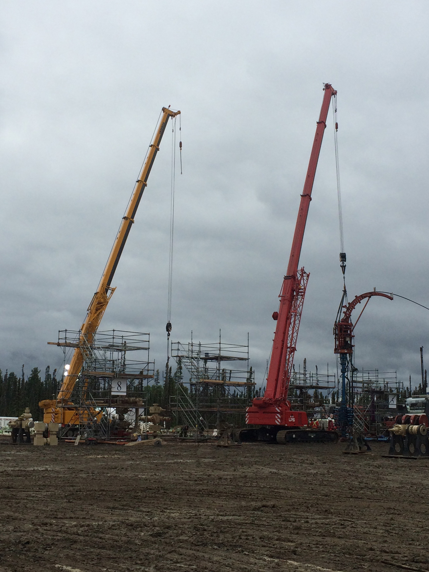 Telescopic Boom Crane 3